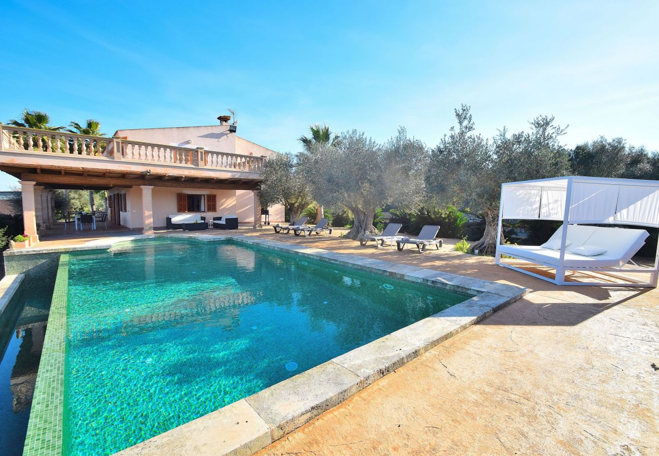 Pool of the villa in Sineu