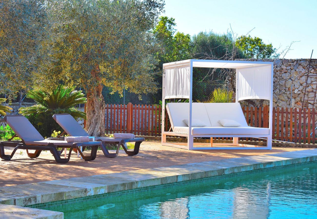 Swimming pool and solarium of the villa in Sineu