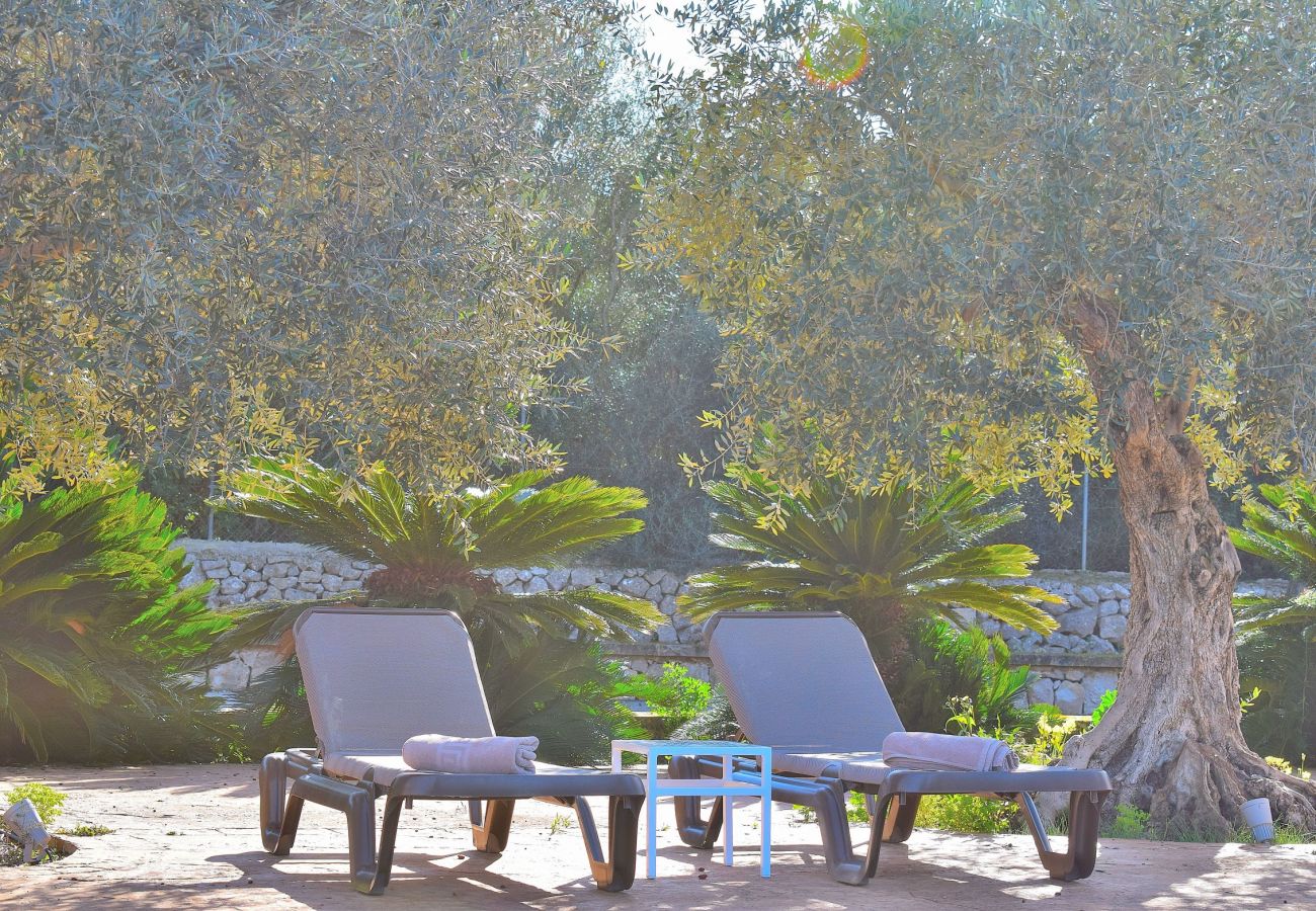 Solarium of the villa in Sineu