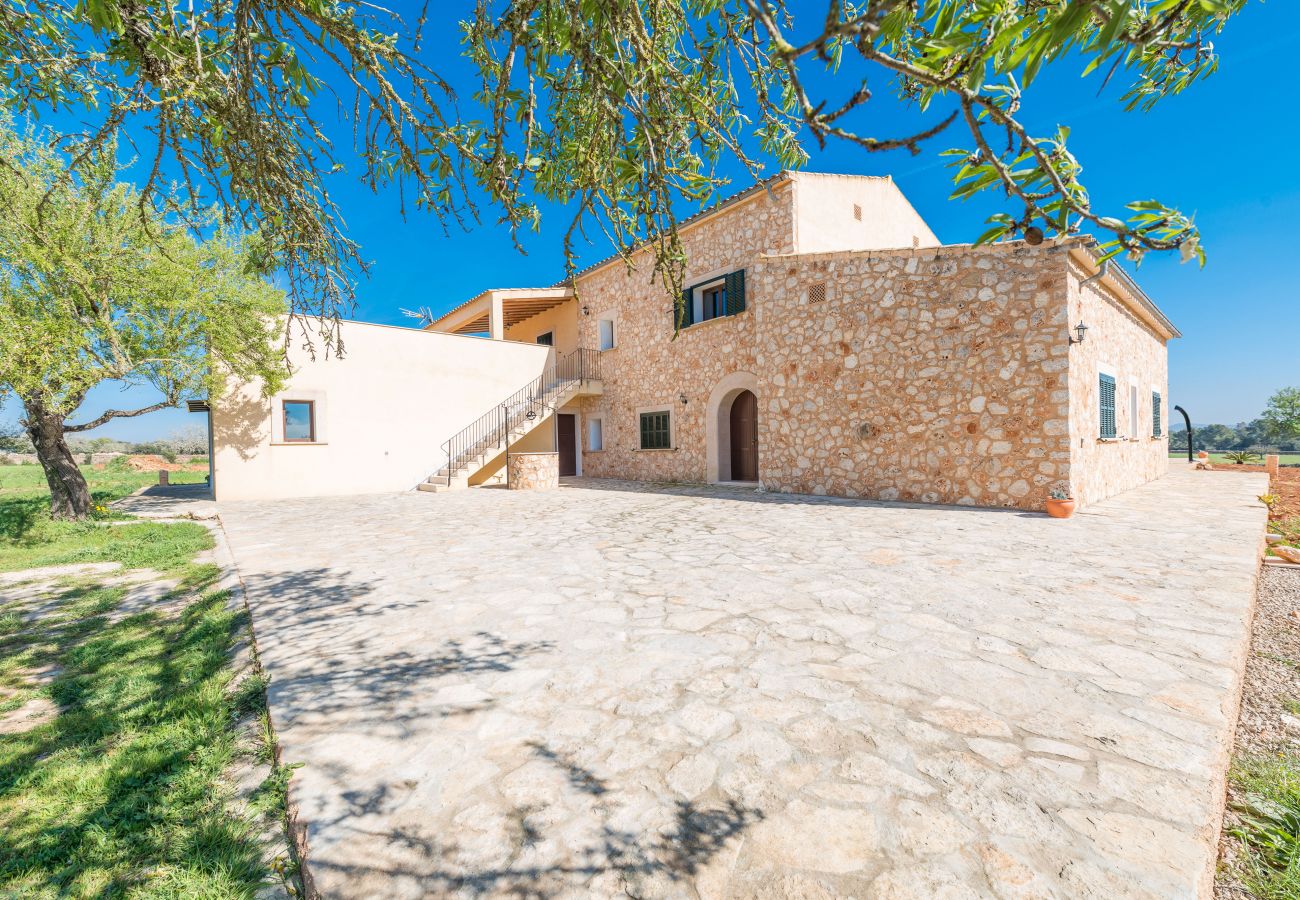 Country house in Campos - Finca Son Oliver - Sunset Finca Son Grau