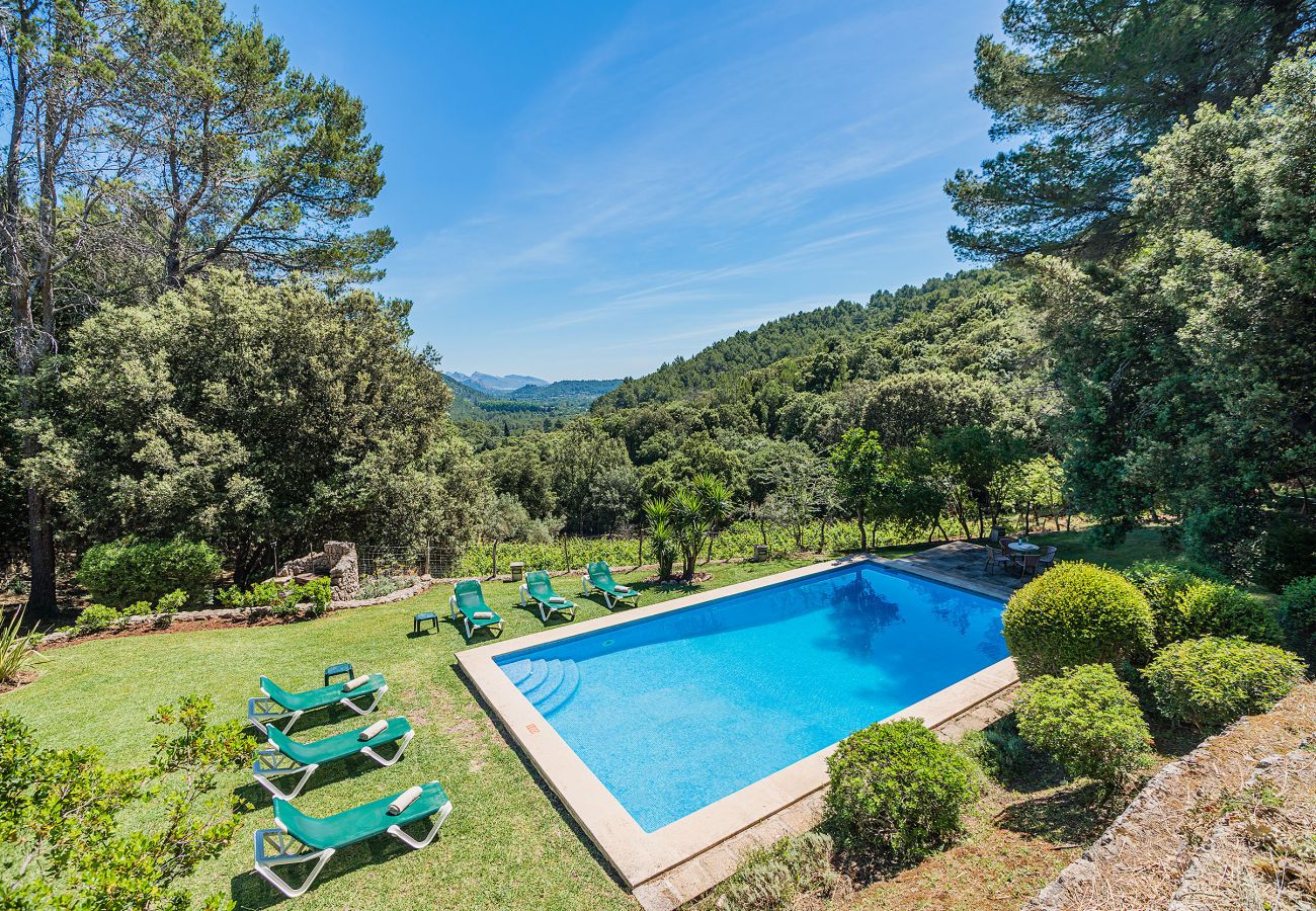Villa in Pollensa / Pollença - PICASSA   Ref: VP29