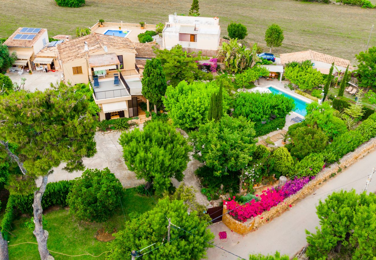 Country house in Alcudia - C301 Tito y Yaya by Mallorca Villa Selection