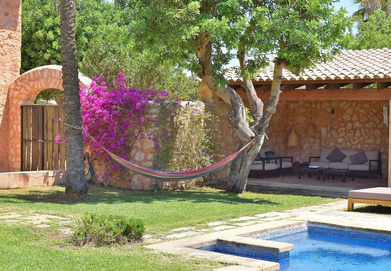 House with swimming pool surrounded by nature