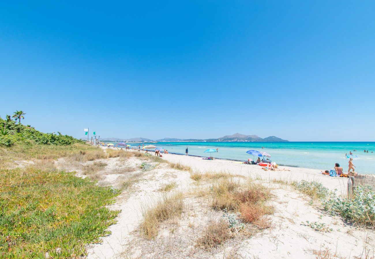 House in Playa de Muro - C250 Villa Canta by Mallorca Villa Selection