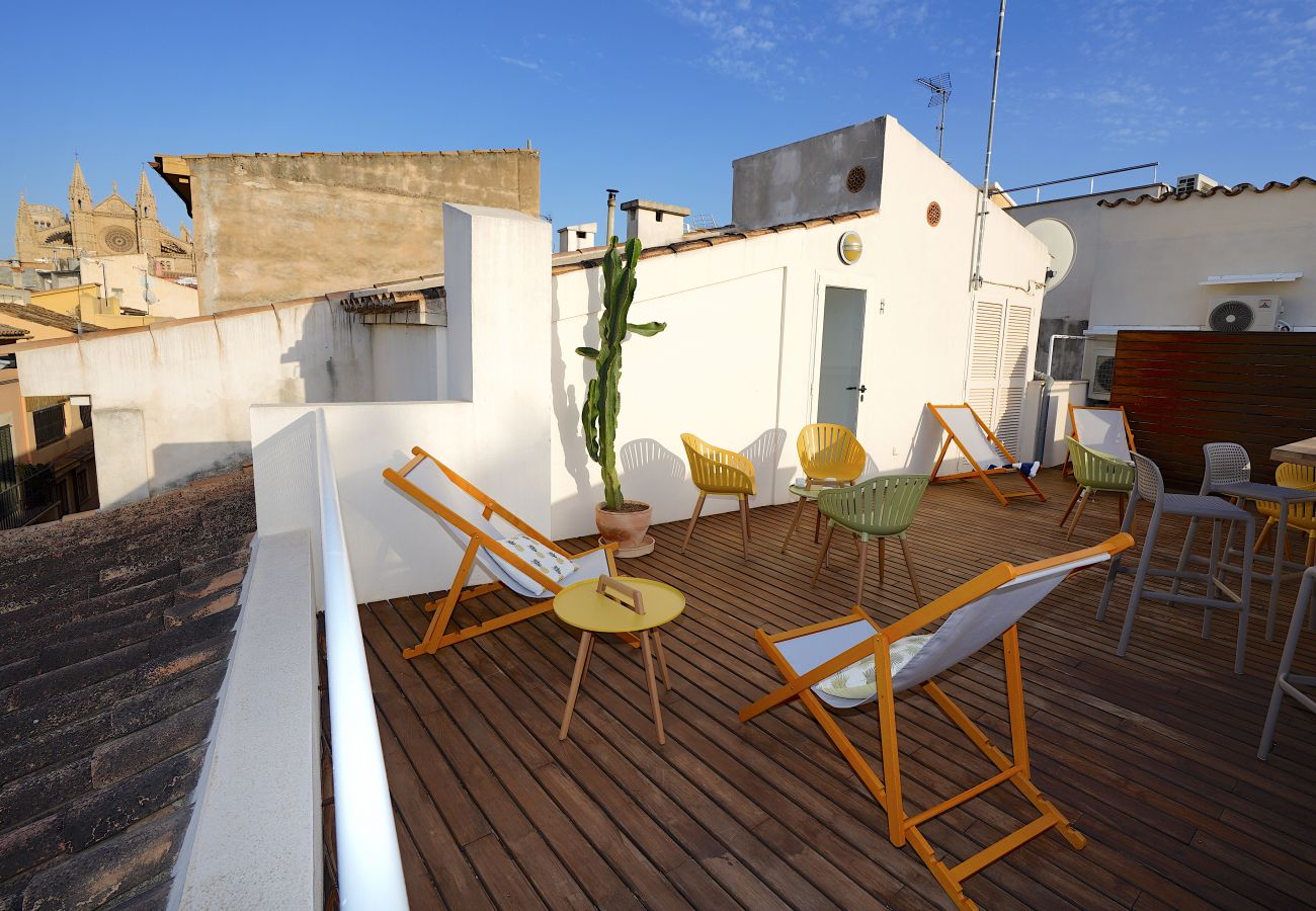 Apartment in Palma de Mallorca - Montmari TI - studio