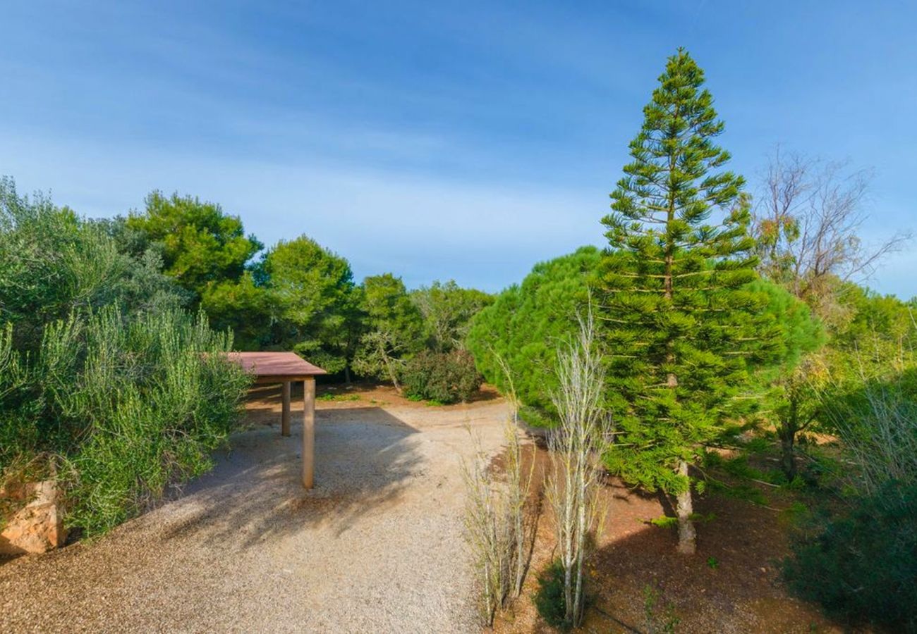 Country house in Santanyi - C293 Es Figueral by Mallorca Villa Selection