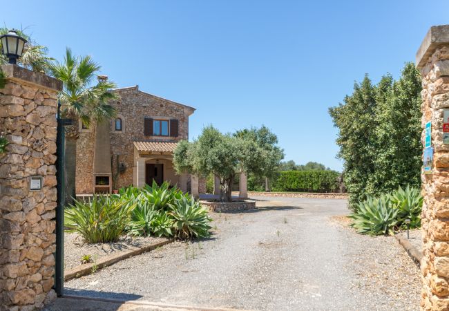 Villa in Felanitx - S'hort d'Or, Finca 5StarsHome Mallorca Villa in Felanitx - S'hort d'Or, Finca 5StarsHome Mallorca