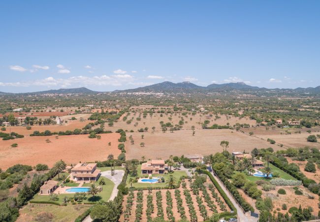 Villa in Felanitx - S'hort d'Or, Finca 5StarsHome Mallorca Villa in Felanitx - S'hort d'Or, Finca 5StarsHome Mallorca