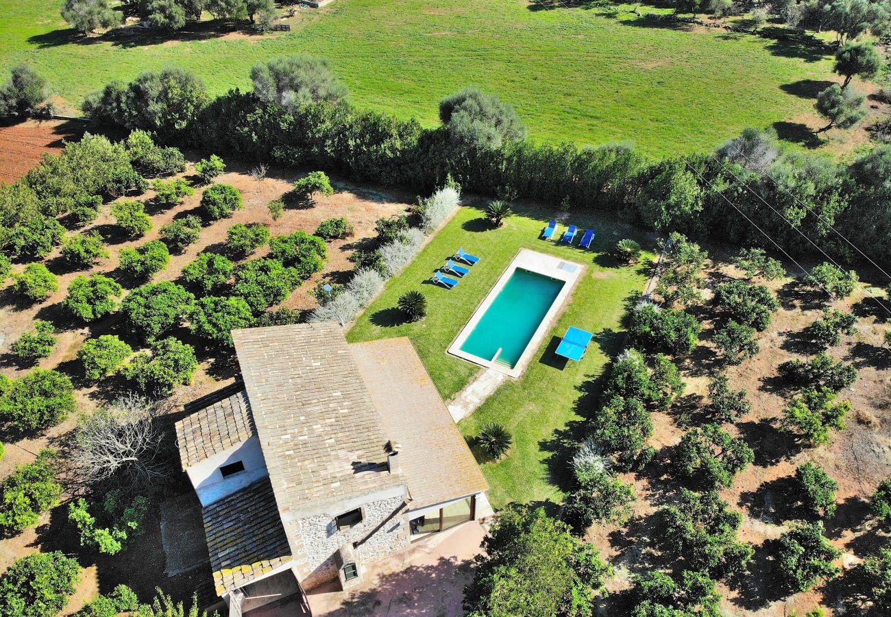 Country house in Can Picafort - Finca Son Morey Tarongers 108 by Mallorca Charme