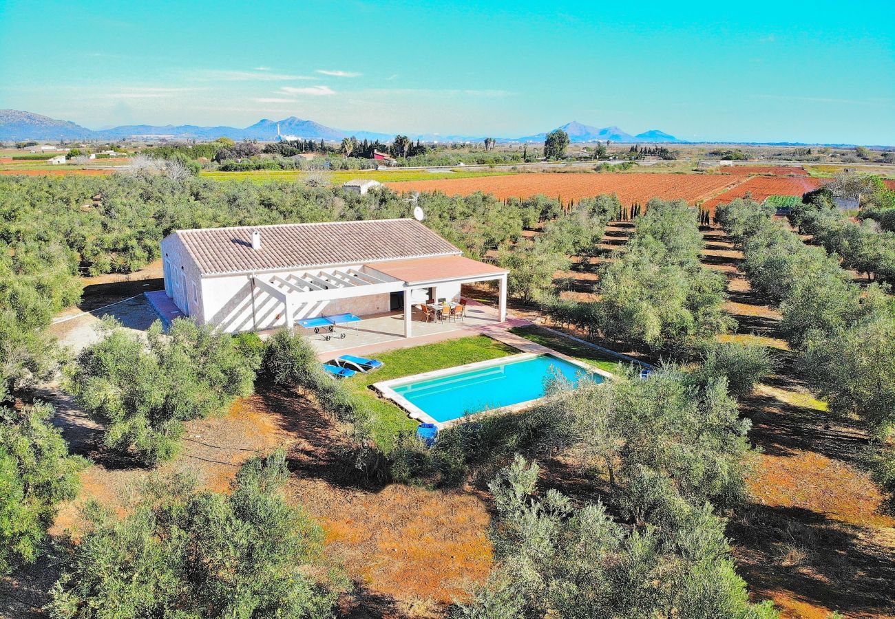 Country house in Can Picafort - Finca Ullastres 109 by Mallorca Charme