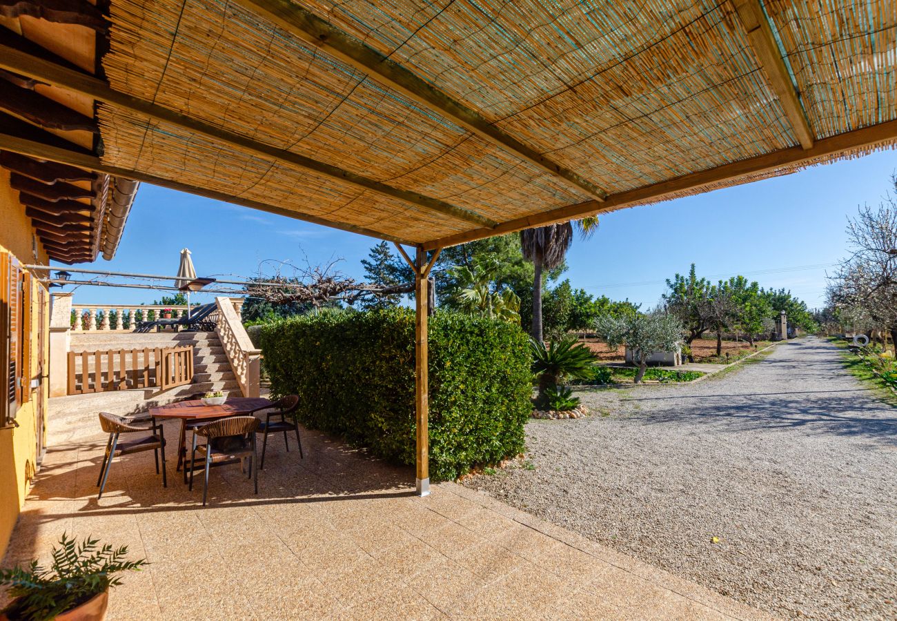 Villa in Lloseta - YourHouse Lemontree