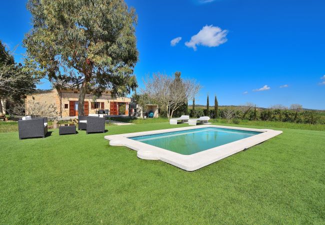 Garden, house, swimming pool, large, holidays, sunshine