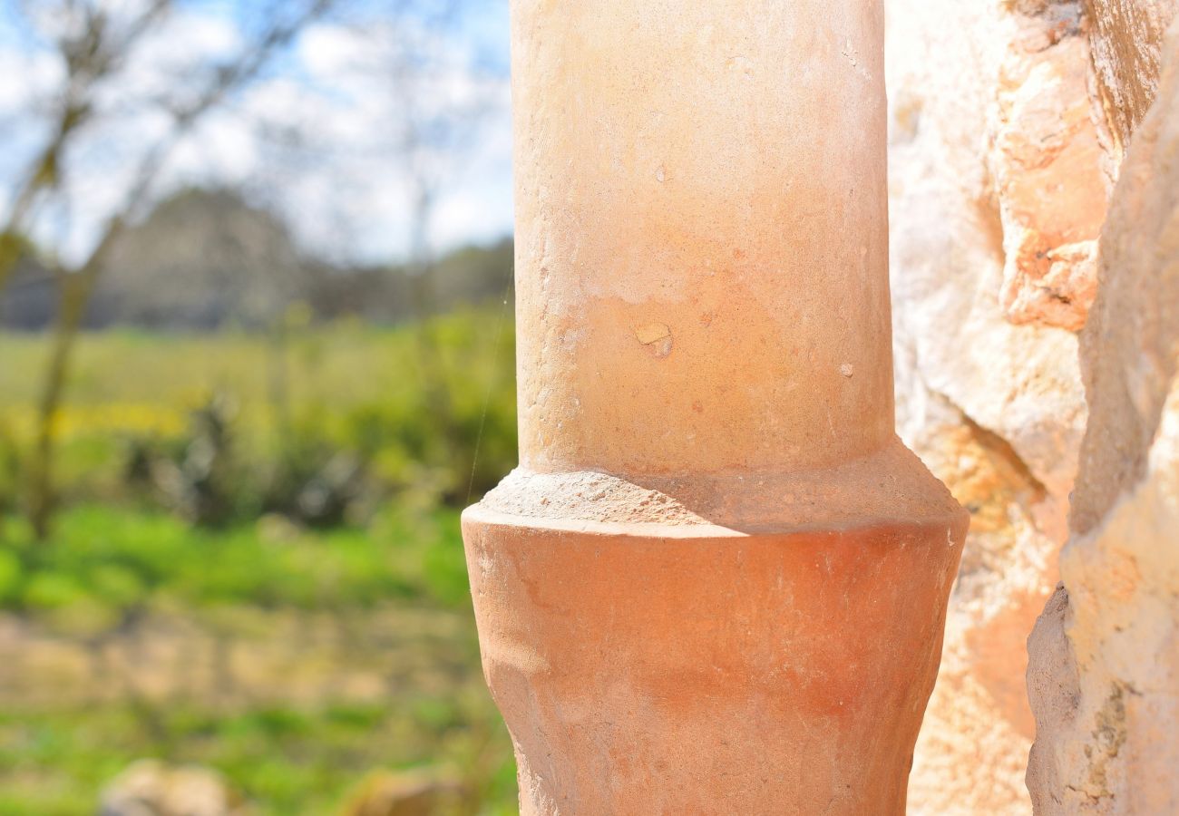 Country house in Sineu - 087 Finca Es Camp Pla VT/1828 by Mallorca Charme