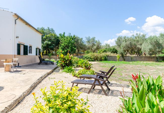 Villa in Binissalem - YourHouse La Suerte Villa in Binissalem - YourHouse La Suerte