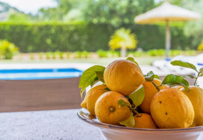 Country house in Pollensa / Pollença - Buchaca, Villa-Finca 5StarsHome Mallorca Country house in Pollensa / Pollença - Buchaca, Villa-Finca 5StarsHome Mallorca