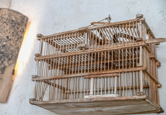 Country house in Pollensa / Pollença - Buchaca, Villa-Finca 5StarsHome Mallorca Country house in Pollensa / Pollença - Buchaca, Villa-Finca 5StarsHome Mallorca