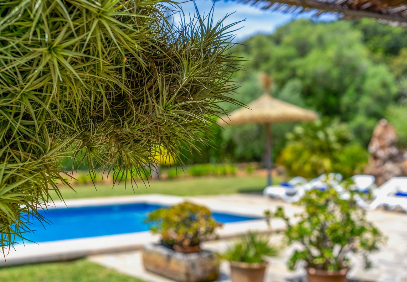 Country house in Pollensa / Pollença - Buchaca, Villa-Finca 5StarsHome Mallorca