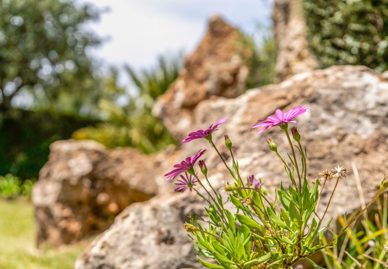 Country house in Pollensa / Pollença - Buchaca, Villa-Finca 5StarsHome Mallorca
