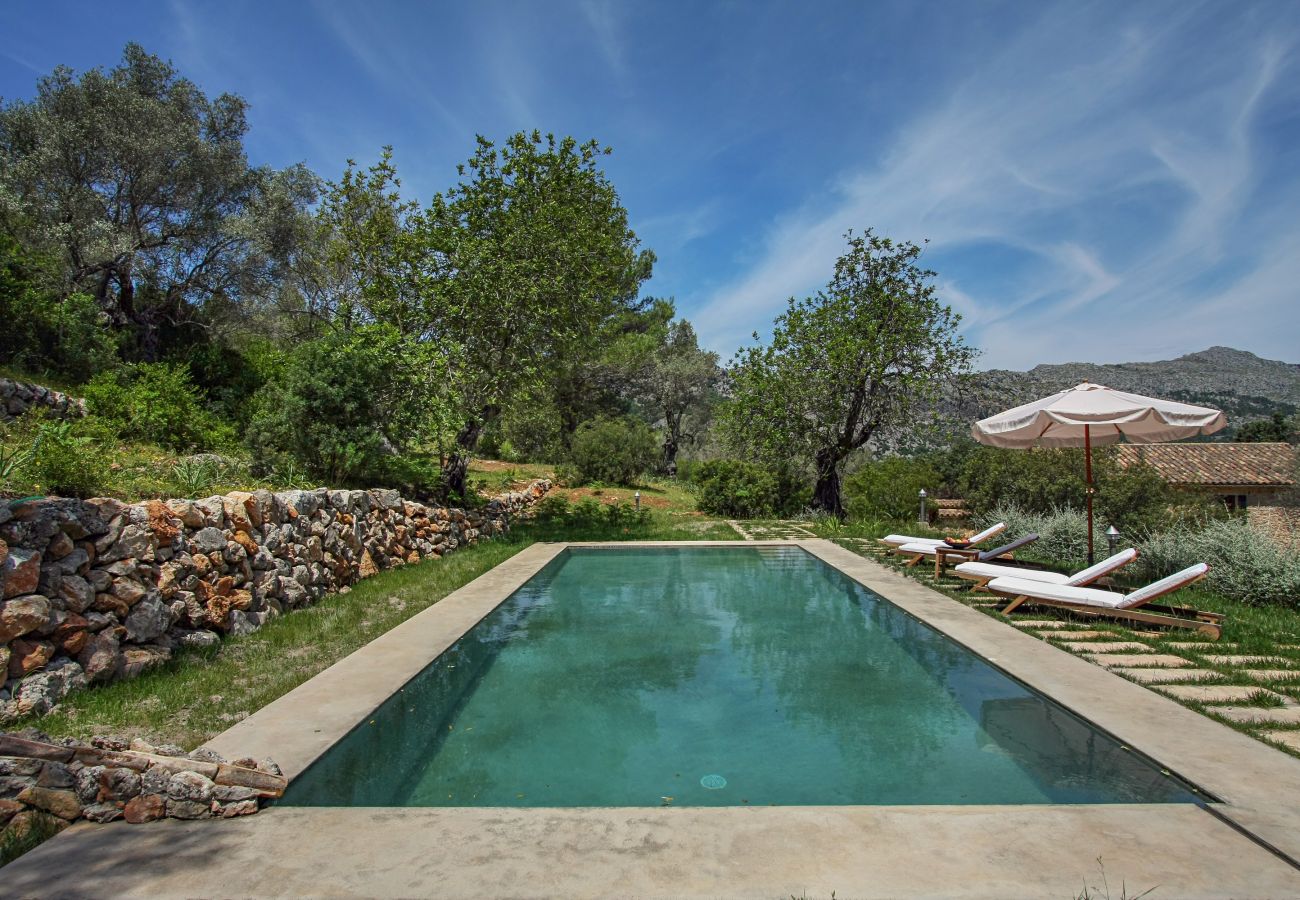 Country house in Pollensa / Pollença - Mon Mallorqui Pas Col, Finca 5StarsHome Mallorca