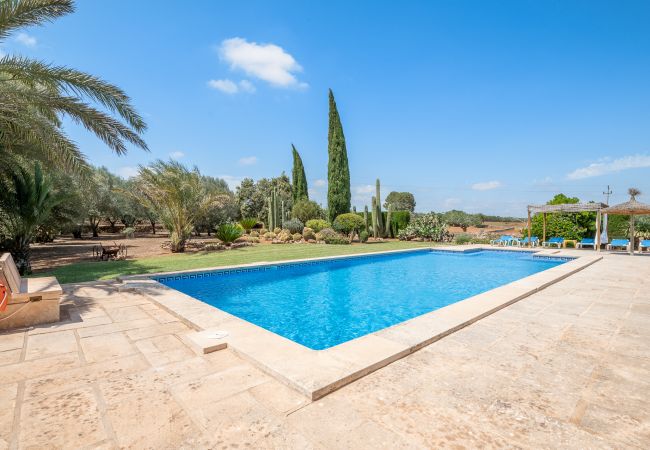 House in Campos - Finca Ses Rotes de Son Rossinyol