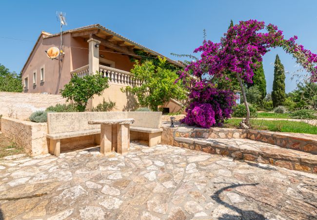 House in Portocolom - Finca Es Reguerons Petit House in Portocolom - Finca Es Reguerons Petit