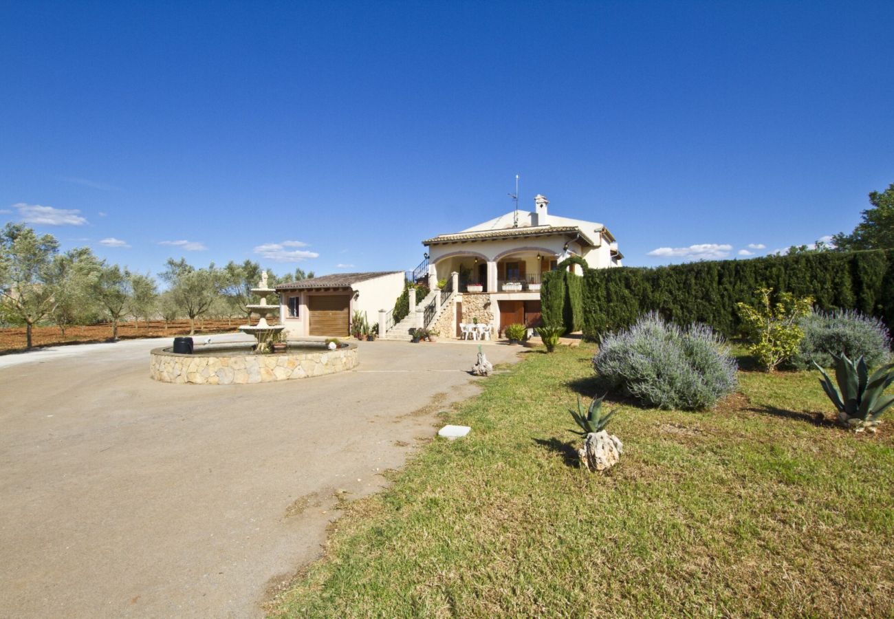 Villa in Ariany - YourHouse Can Nofre