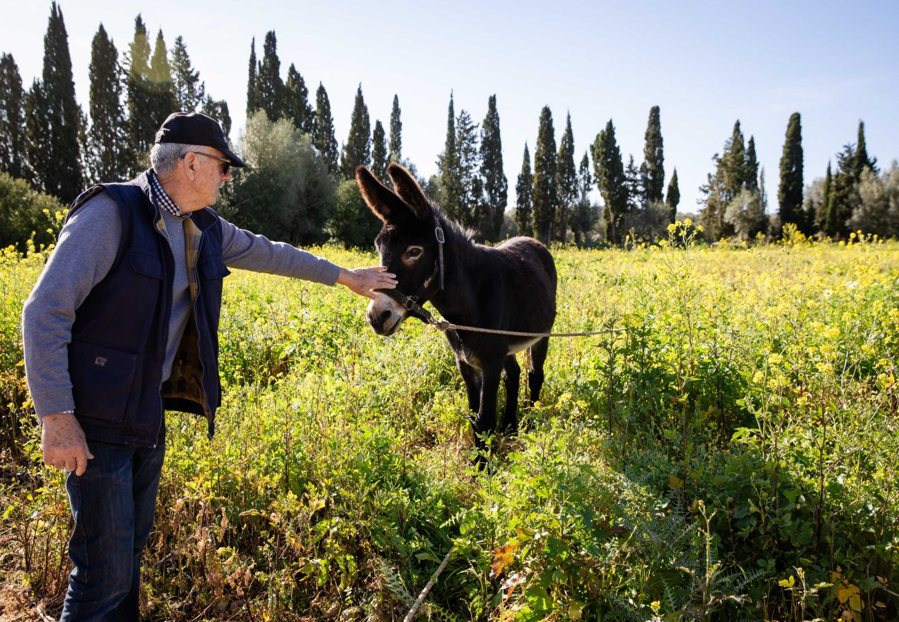 Apartment in Maria de la salut - Apartment in rural house, YourHouse Deulosal