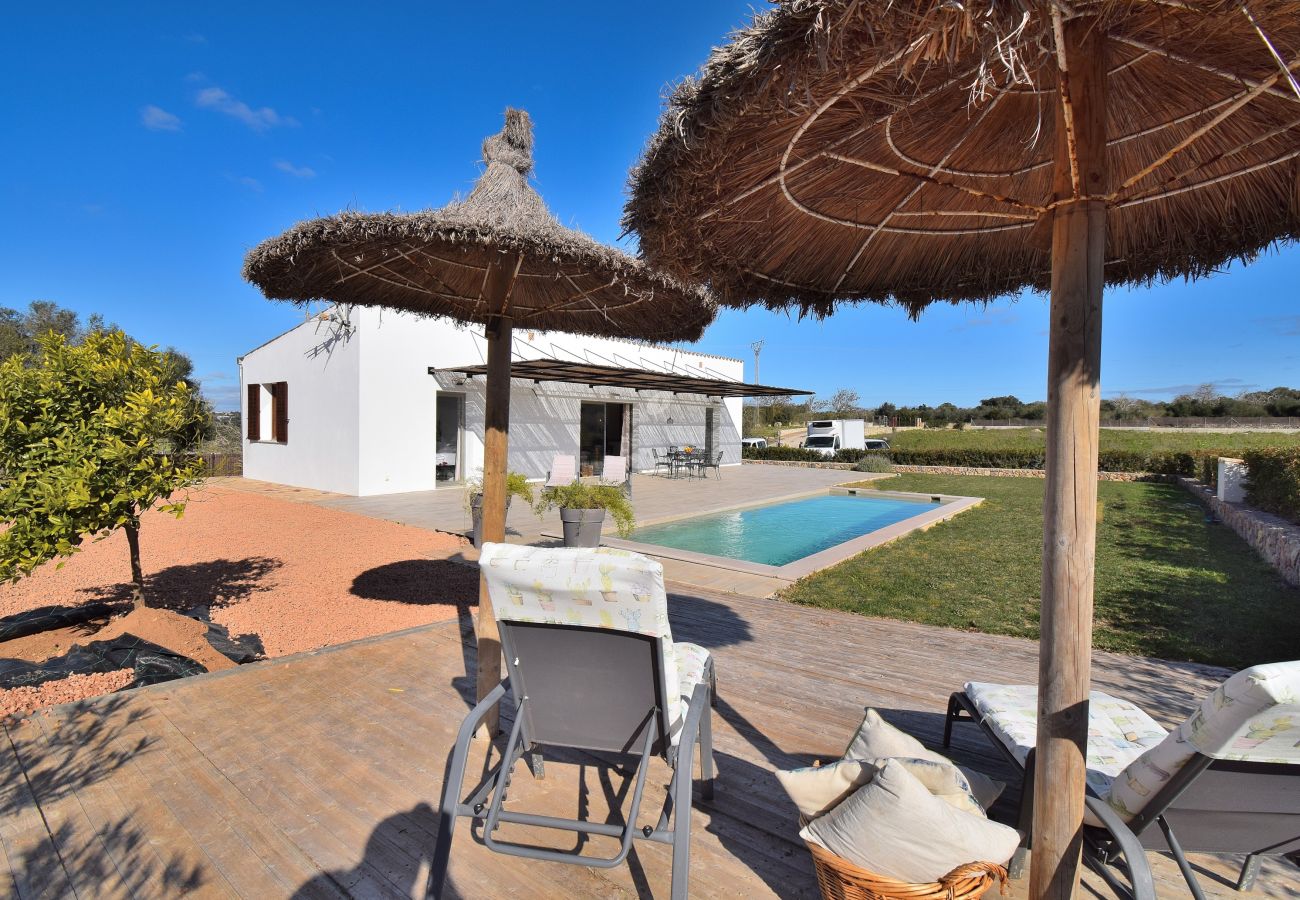 Country house in Sineu - 249 Finca Son Alcaines Petit ETV/7648 by Mallorca