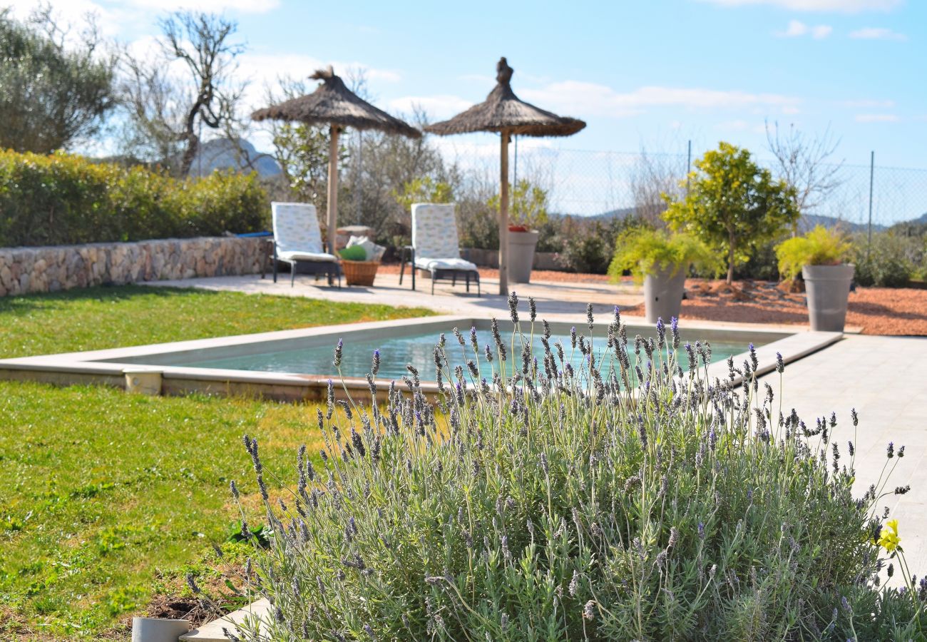 Country house in Sineu - 249 Finca Son Alcaines Petit ETV/7648 by Mallorca