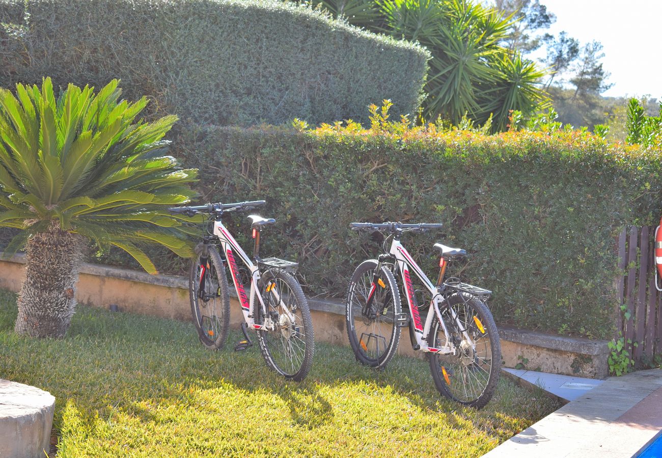 Country house in Ariany - 250 Finca Can Xisco Domatiga ETV/905 by Mallorca C