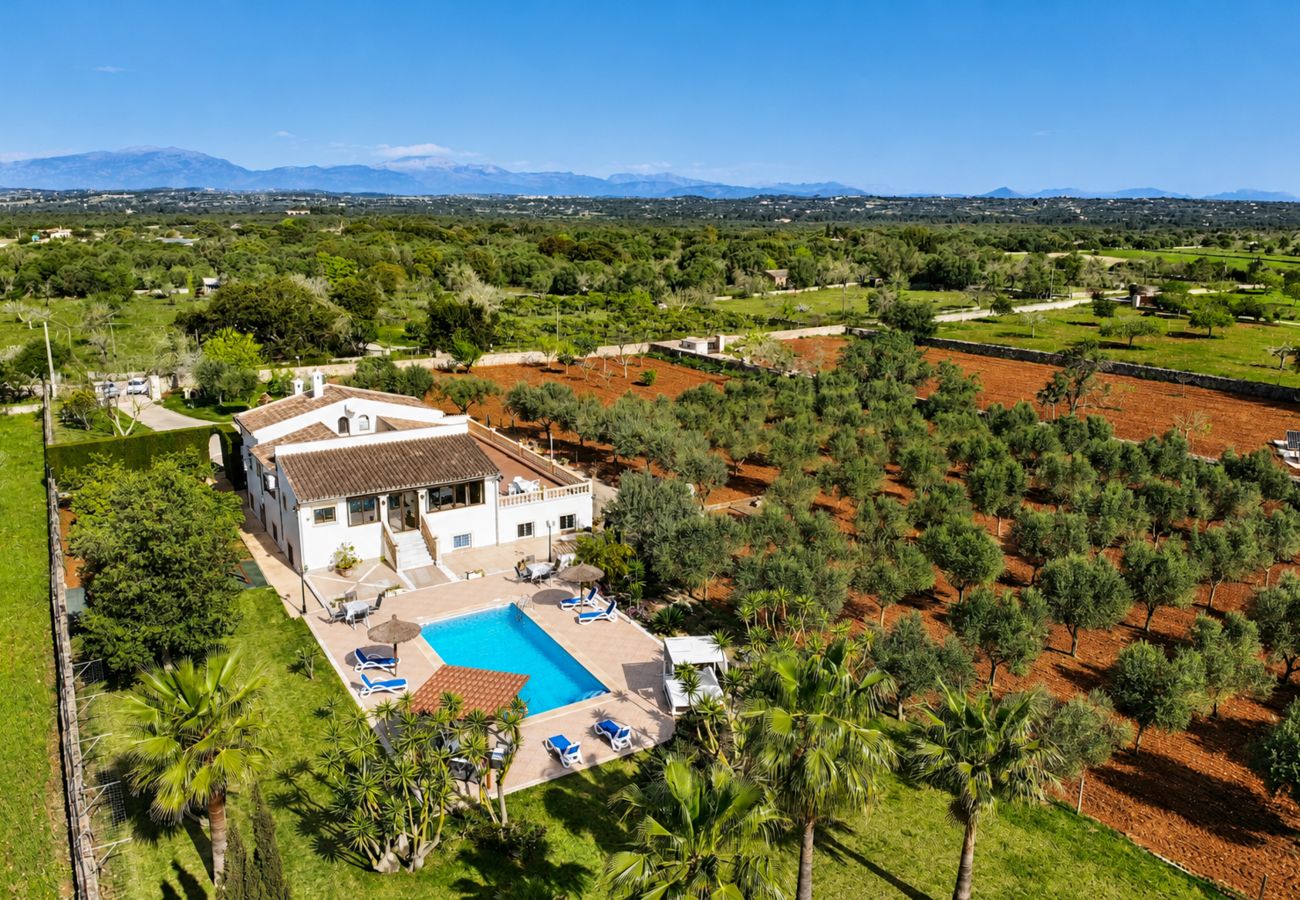 Country house in Ariany - 253 Finca Calderitx ETV/3113 by Mallorca Charme