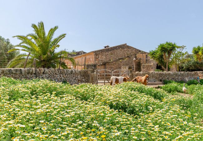 Farm stay in Campos - YourHouse Son Sala Agroturismo Vina Vella - doble