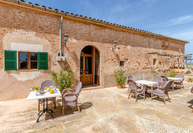 Farm stay in Campos - YourHouse Son Sala Terrat Apartment in Agroturismo