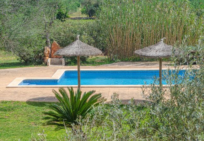 Farm stay in Campos - YourHouse Son Sala Agroturismo Galliner - doble