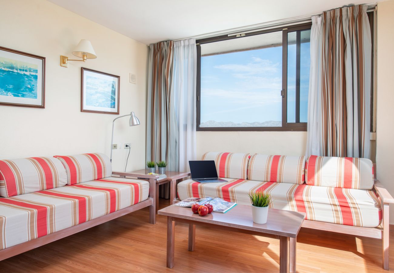 Apartment in Alcudia - Sunset 1 Room Apartment Carlos V