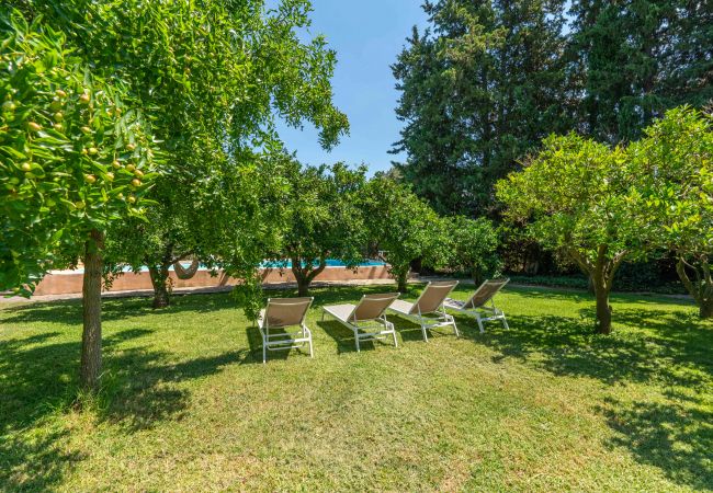 Country house in Sencelles - Sa Teuleta, Finca 5StarsHome Mallorca Country house in Sencelles - Sa Teuleta, Finca 5StarsHome Mallorca