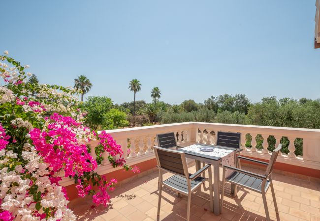 House in Felanitx - Finca Margarita House in Felanitx - Finca Margarita