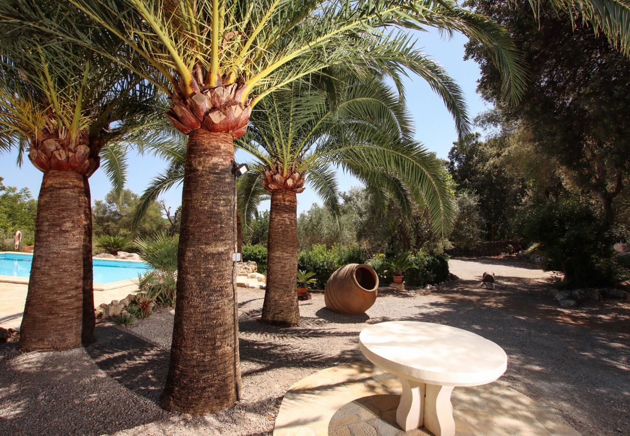 Country house in Pollensa / Pollença - Plumera, Finca 5StarsHome Mallorca