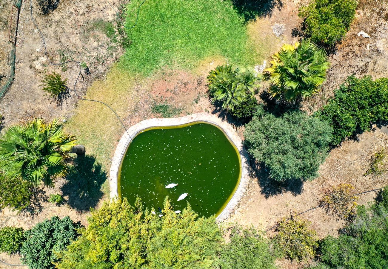 Country house in Pollensa / Pollença - Plumera, Finca 5StarsHome Mallorca