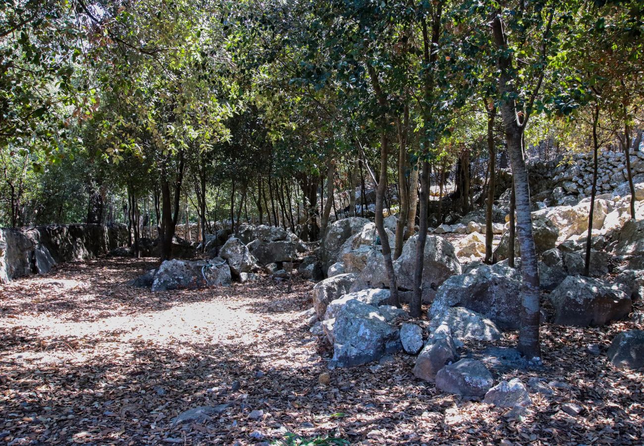 Country house in Pollensa / Pollença - Plumera, Finca 5StarsHome Mallorca