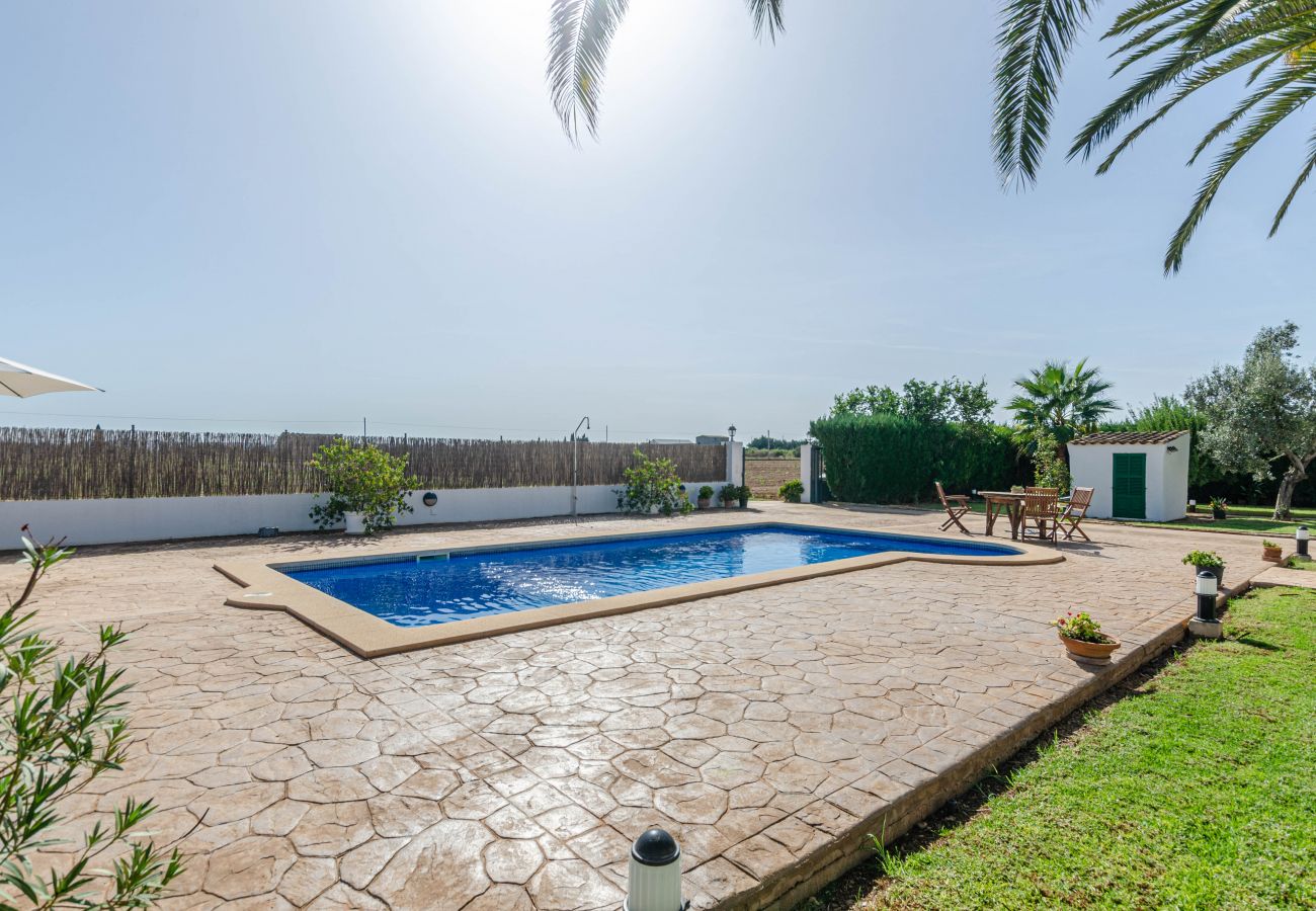 Villa in Sa Pobla - YourHouse Goet