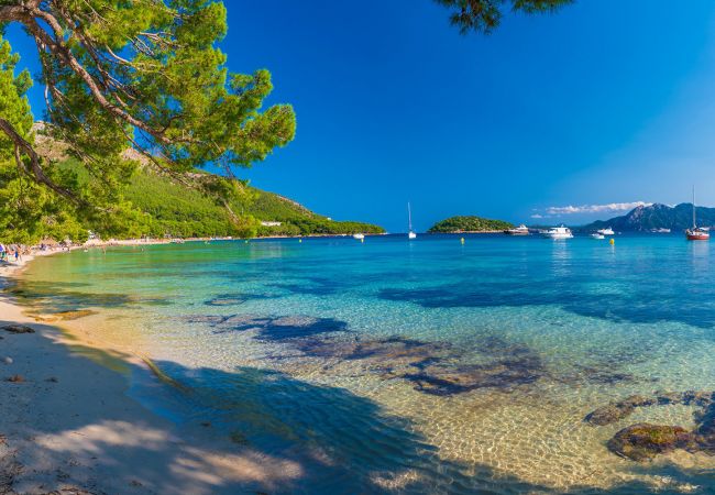 Country house in Pollensa / Pollença - Plantina, Finca 5StarsHome Mallorca Country house in Pollensa / Pollença - Plantina, Finca 5StarsHome Mallorca