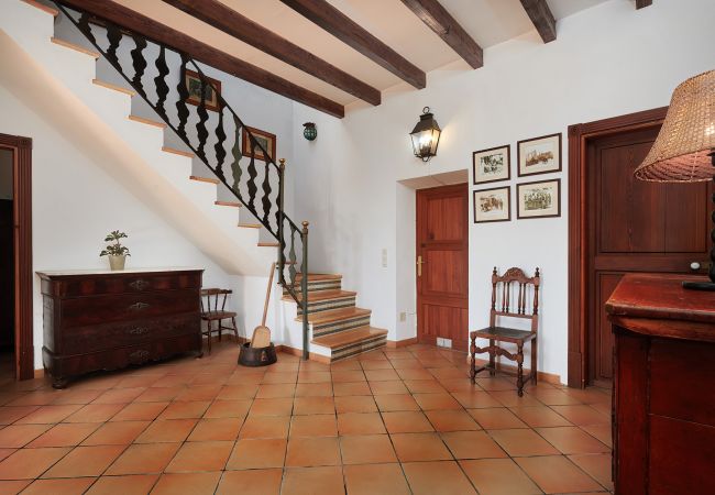 Cottage in Felanitx - Finca Son Oliver Cottage in Felanitx - Finca Son Oliver