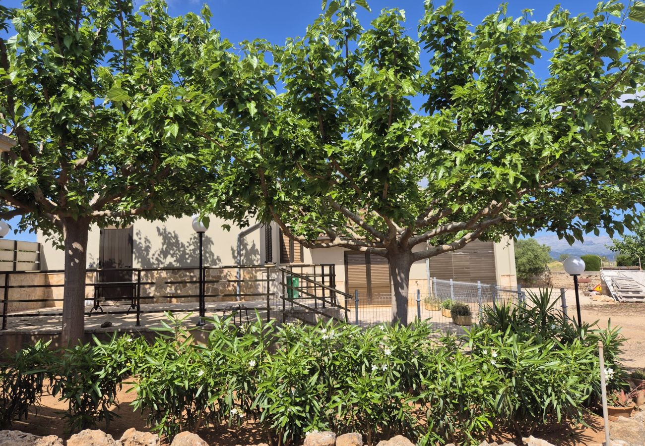 Villa in Muro - YourHouse Cas Padri