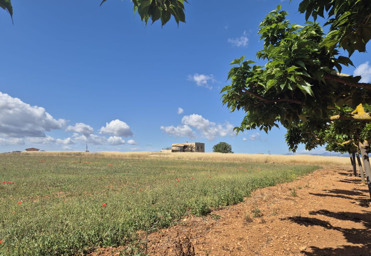 Villa in Muro - YourHouse Cas Padri