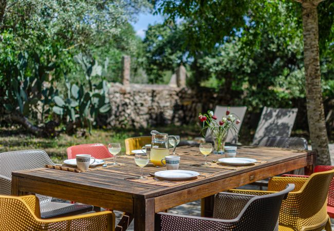 Villa in Felanitx - YourHouse Finca Es Galliner Villa in Felanitx - YourHouse Finca Es Galliner
