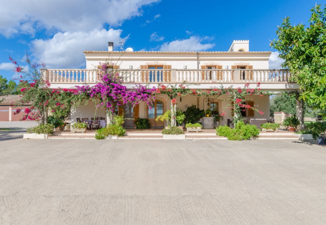 Villa in Ariany - YourHouse Sa Garriga Finca Darder