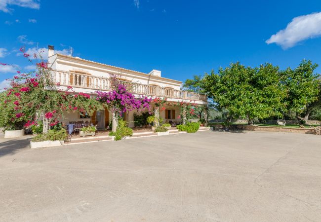 Villa in Ariany - YourHouse Sa Garriga Finca Darder