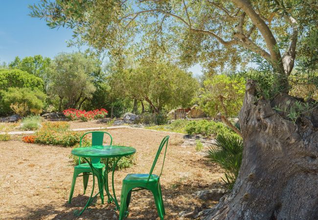 Villa in Pollensa / Pollença - Marirouse 33, Villa 5StarsHome Mallorca Villa in Pollensa / Pollença - Marirouse 33, Villa 5StarsHome Mallorca