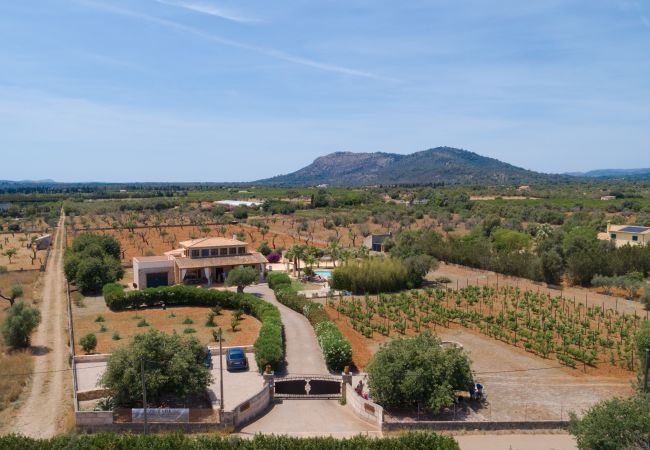 Villa in Buger - Atenaia, Villa 5StarsHome Mallorca Villa in Buger - Atenaia, Villa 5StarsHome Mallorca